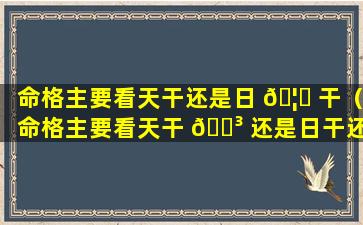 命格主要看天干还是日 🦉 干（命格主要看天干 🌳 还是日干还是时干）